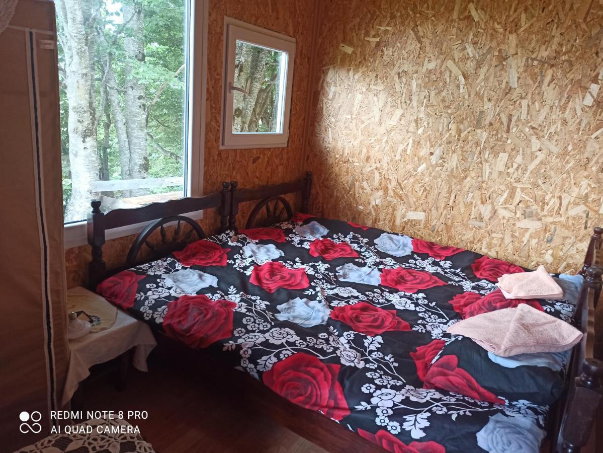 Katun Ljeljenak Plužine Exterior foto