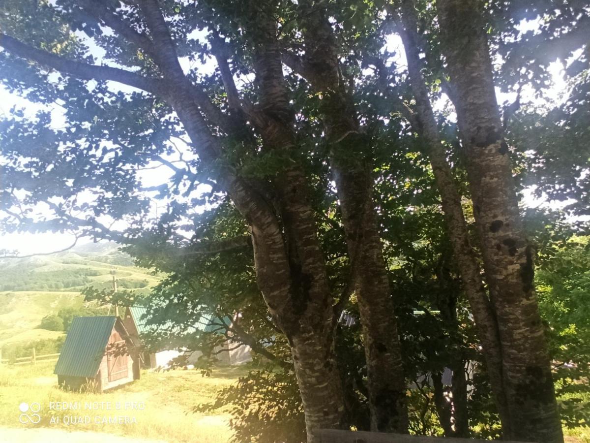 Katun Ljeljenak Plužine Exterior foto