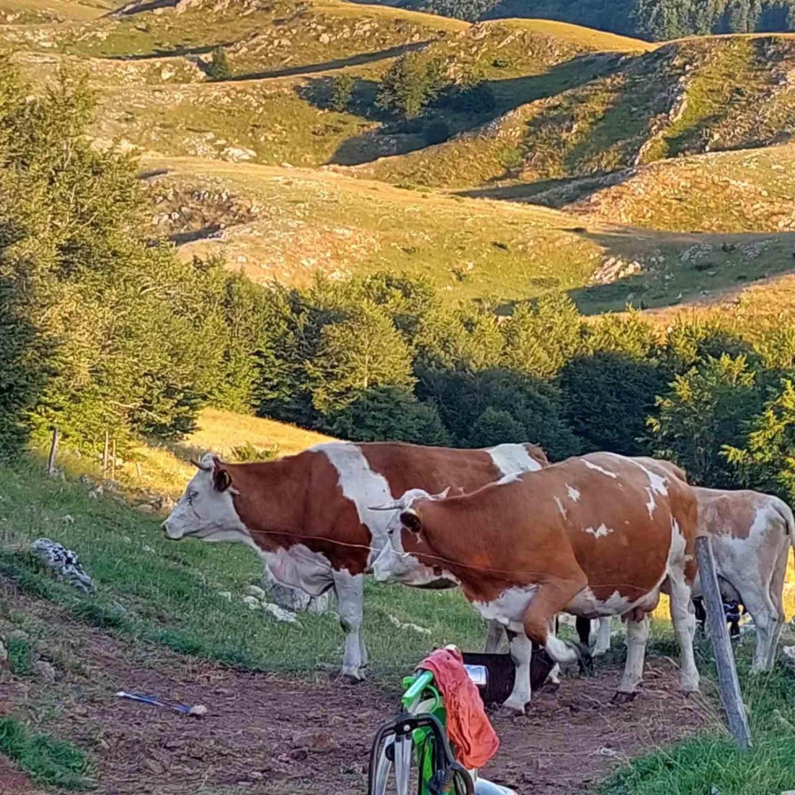 Katun Ljeljenak Plužine Exterior foto