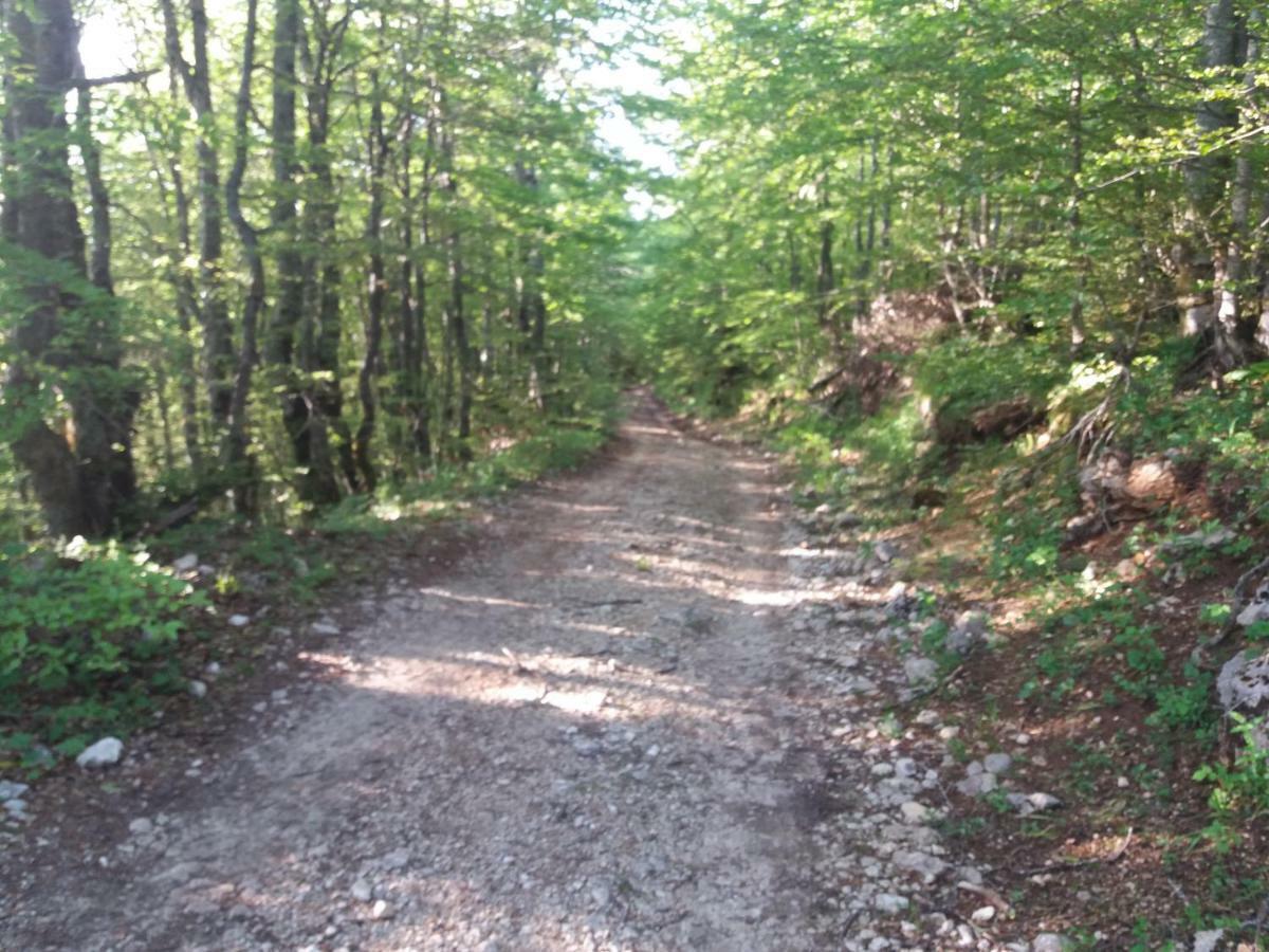 Katun Ljeljenak Plužine Exterior foto