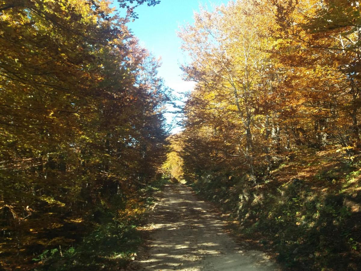 Katun Ljeljenak Plužine Exterior foto