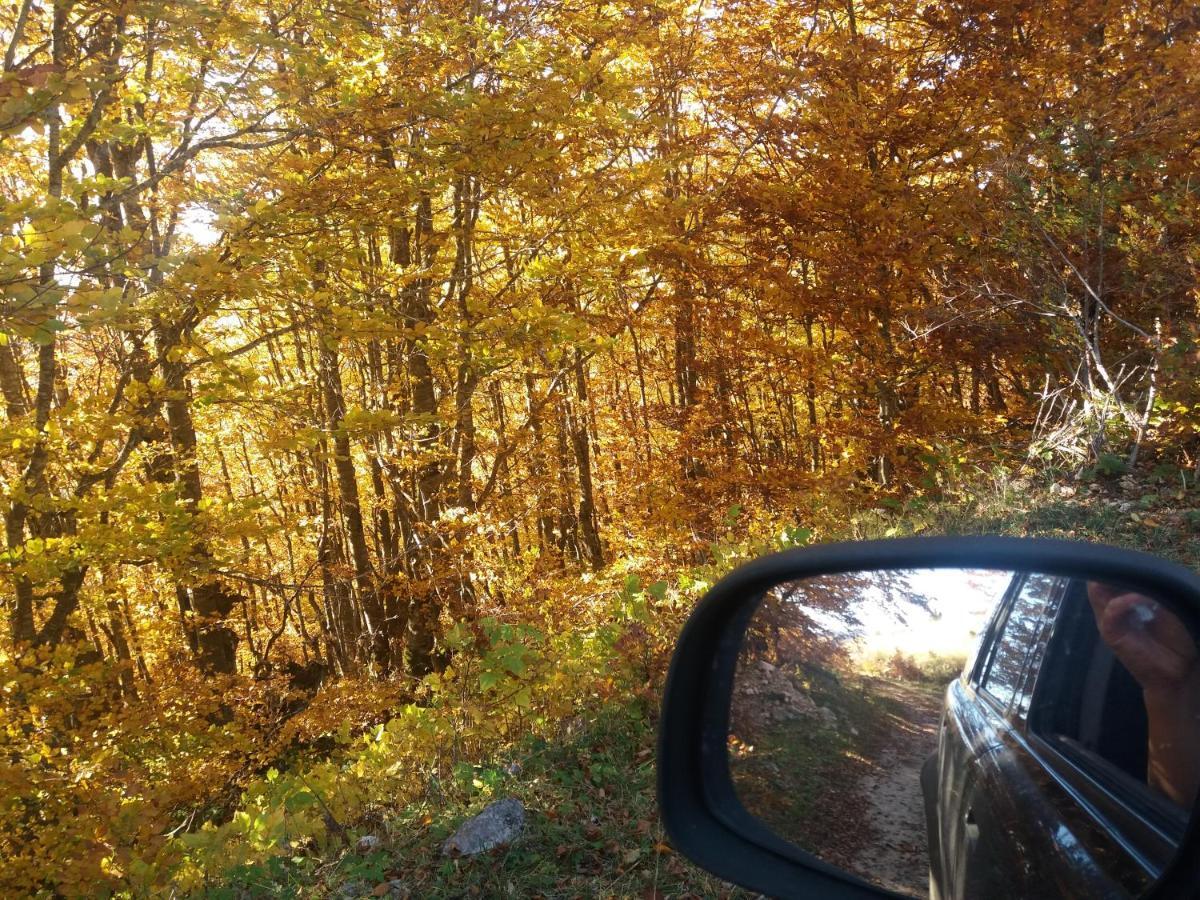 Katun Ljeljenak Plužine Exterior foto