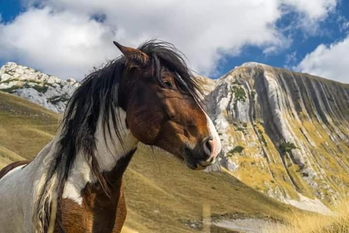Katun Ljeljenak Plužine Exterior foto